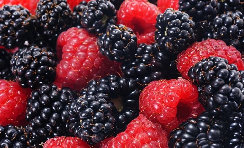 L'importance de la traçabilité des aliments biologiques