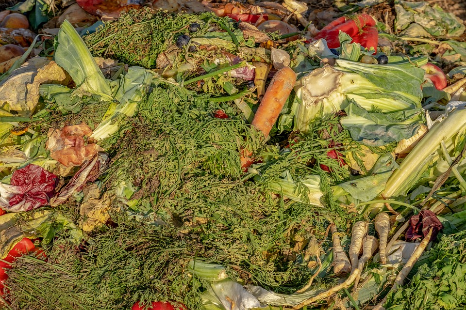 Les avantages du compostage domestique pour l'environnement