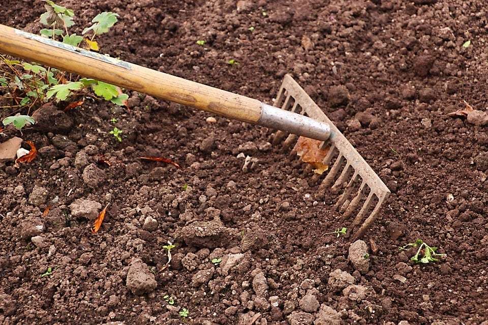 Techniques de jardinage écologique pour une meilleure récolte