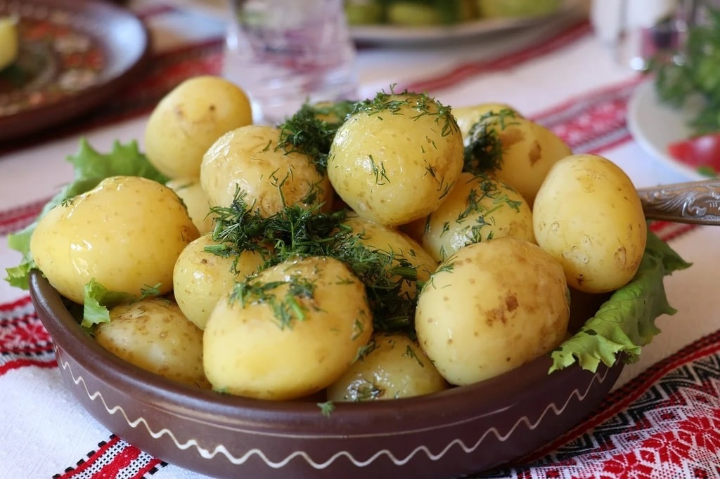 Comment choisir les meilleures variétés de plants de pommes de terre ?